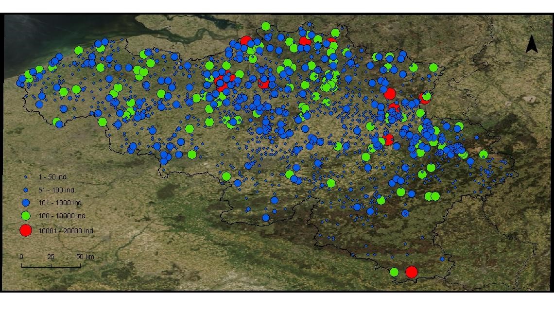Spreiding van de locaties waar in 2013 vogels werden geringd, met aanduiding van het aantal betrokken individuen