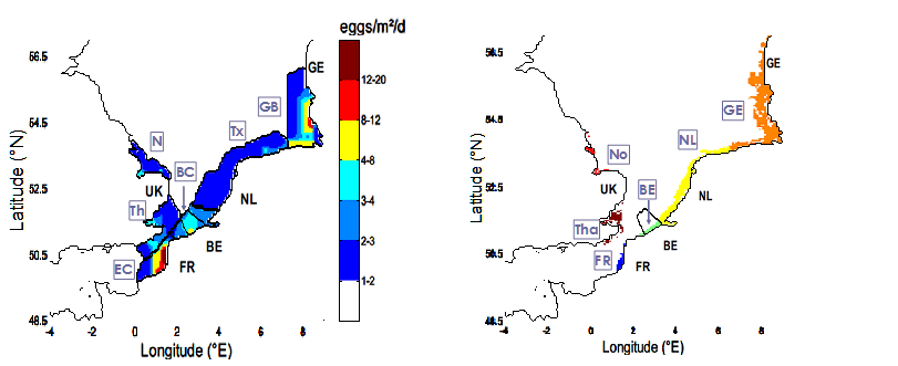 Distribution of the main spawning areas of sole / Nursery areas
