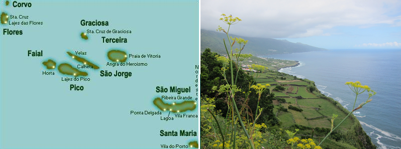 Azores Islands map and Pico Island photo