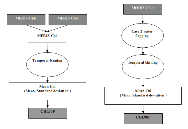 CHL data processing flow diagram