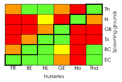 Frequency of connectivity matrix